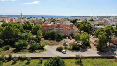 Apartment in Cala Millor photo 11