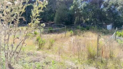 Rustic finca in Montbarbat photo 47