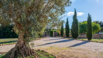 Rustic Finca in Algaida Campo photo 9