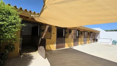 Rustic Finca in Seville photo 6