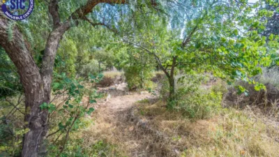 Chalet on Carrer de la Foia de Bunol photo 61