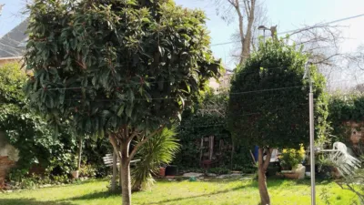 Chalet en Somosaguas photo 40