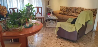 Chalet in Elche - Elx photo 16
