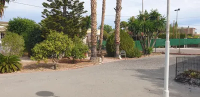 Chalet in Elche - Elx photo 12