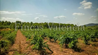 Rustic Finca on Calle Soneja photo 51