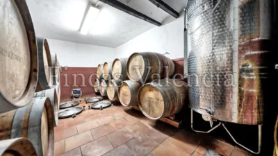 Rustic Finca on Calle Soneja photo 17