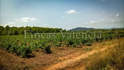 Rustic Finca on Calle Soneja photo 52