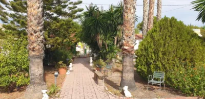 Chalet in Elche - Elx photo 14