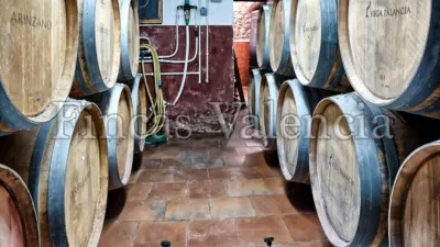 Rustic Finca on Calle Soneja photo 15