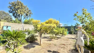 Chalet in Costa de Valencia photo 10