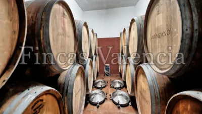 Rustic Finca on Calle Soneja photo 10