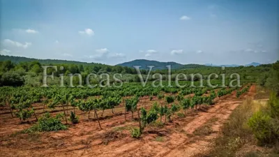 Rustic Finca on Calle Soneja photo 54