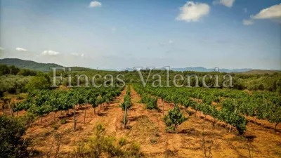 Rustic Finca on Calle Soneja photo 49