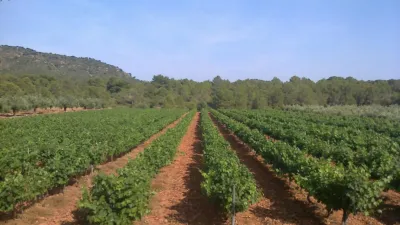 Rustic Finca on Calle Soneja photo 39