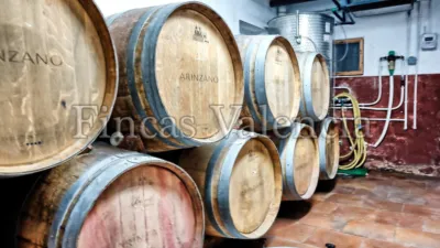 Rustic Finca on Calle Soneja photo 8