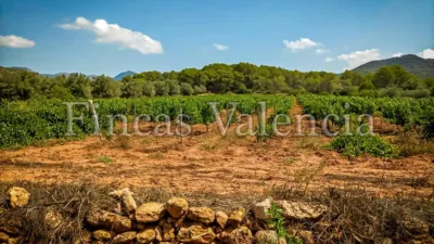 Rustic Finca on Calle Soneja photo 48