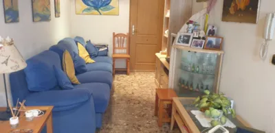 Chalet in Elche - Elx photo 17
