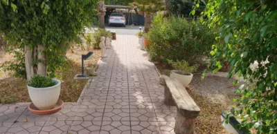 Chalet in Elche - Elx photo 13