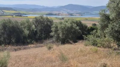 Rustic farm for sale on Carretera Arcos Algar photo 2