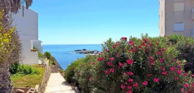 Apartment in Cala Medina photo 38