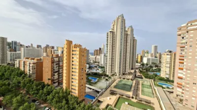 Apartment in Rincon de Loix Llano photo 41