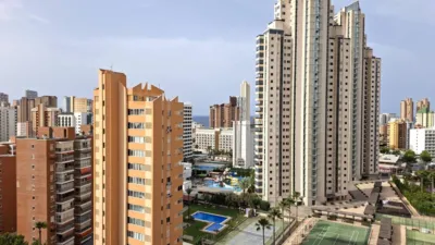 Apartment in Rincon de Loix Llano photo 39