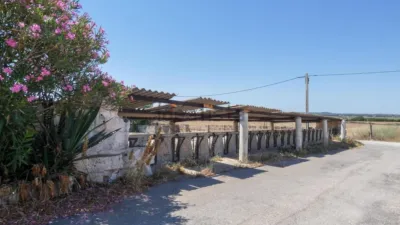 Rustic Finca in Muro photo 22