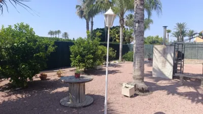 Casa – Elche/Elx, la Barrera, Urbanització Les Atzavares - Vista 5