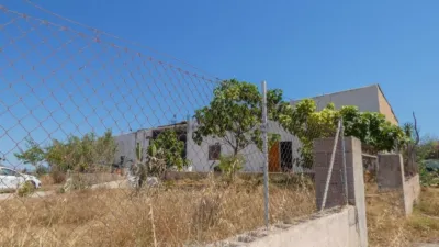 Rustic Finca in Muro photo 24