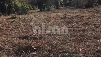 Terreno en venta en Estrada de Castela, 700 - Vista 4