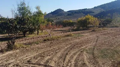 Rustic farm in Mazarrón photo 22