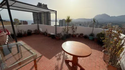 Pis – Benidorm - Vista 4