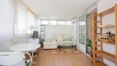 House in Alameda photo 40