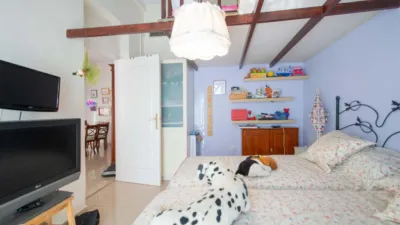 House in Alameda photo 29