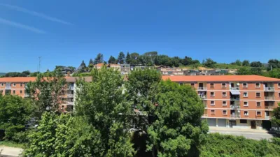 Apartment in Villasana de Mena photo 29