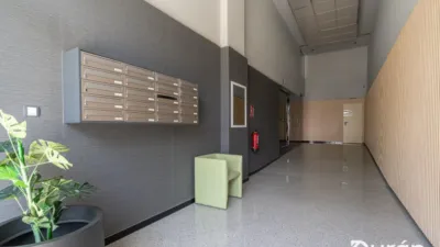 Apartment in Ejido Sur photo 43