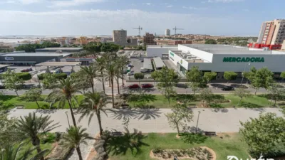 Apartment in Ejido Sur photo 46