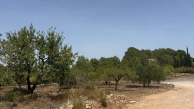 House in the Valencian Community photo 30