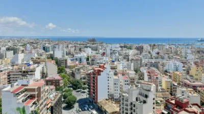 Apartment in Santa Catalina photo 30