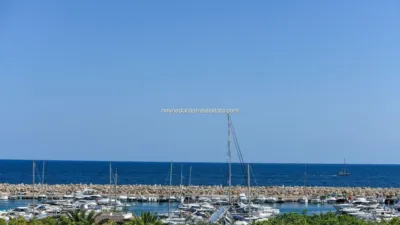 Apartment in Portals Nous photo 31