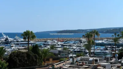 Apartment in Portals Nous photo 30