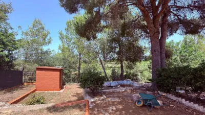 House in the Valencian Community photo 26