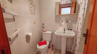 Pis – Torrevieja - Més