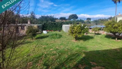 Rustic Finca in Montserrat photo 45