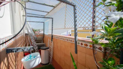 House in Alameda photo 47
