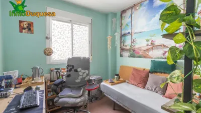 Apartment in Almanjayar photo 5