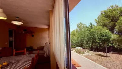House in the Valencian Community photo 18