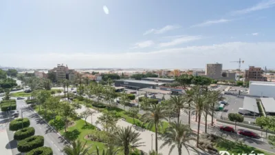 Apartment in Ejido Sur photo 45