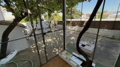 House on Calle de los Molinos, 52 photo 13