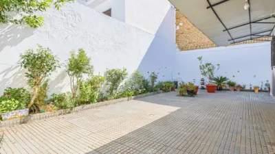 House on Ciervo Street photo 5